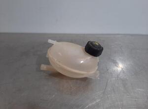 Coolant Expansion Tank RENAULT CAPTUR I (J5_, H5_), RENAULT CLIO IV (BH_), RENAULT CLIO III (BR0/1, CR0/1)