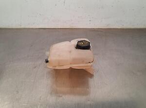 Coolant Expansion Tank FORD TRANSIT CONNECT V408 Box Body/MPV