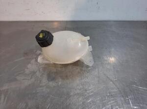 Coolant Expansion Tank RENAULT CLIO IV Grandtour (KH_), RENAULT CLIO III Grandtour (KR0/1_)