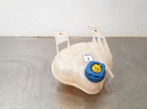 Coolant Expansion Tank FIAT DOBLO Cargo (263_), FIAT DOBLO Platform/Chassis (263_), FIAT DOBLO MPV (263_)