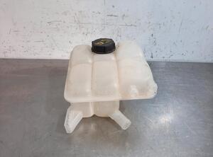 Coolant Expansion Tank FORD TOURNEO CONNECT / GRAND TOURNEO CONNECT V408 MPV