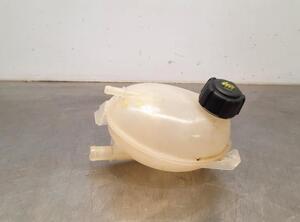 Coolant Expansion Tank RENAULT CAPTUR I (J5_, H5_), RENAULT CLIO IV (BH_), DACIA DUSTER (HS_), DACIA DUSTER (HM_)