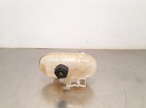 Coolant Expansion Tank RENAULT KANGOO Express (FW0/1_), RENAULT KANGOO / GRAND KANGOO (KW0/1_)