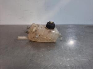 Coolant Expansion Tank RENAULT MEGANE III Grandtour (KZ0/1)