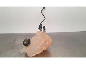 Coolant Expansion Tank FORD GALAXY III (CK), FORD S-MAX (CJ, WA6)