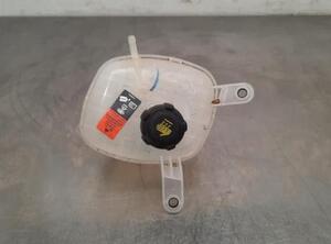 Coolant Expansion Tank NISSAN QASHQAI III (J12)