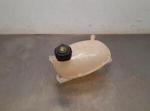 Coolant Expansion Tank DACIA DOKKER MPV (KE_), DACIA LODGY (JS_), DACIA DUSTER (HS_), DACIA LOGAN MCV II