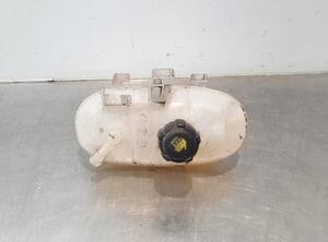 Coolant Expansion Tank OPEL VIVARO B Van (X82)