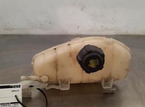 Coolant Expansion Tank RENAULT KANGOO Express (FW0/1_), RENAULT KANGOO / GRAND KANGOO (KW0/1_)