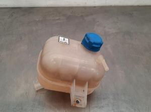 Coolant Expansion Tank FIAT DOBLO Cargo (263_), FIAT DOBLO MPV (263_), FIAT DOBLO Platform/Chassis (263_)