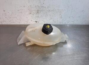 Coolant Expansion Tank RENAULT MASTER III Platform/Chassis (EV, HV, UV)