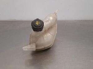 Coolant Expansion Tank NISSAN QASHQAI II SUV (J11, J11_)