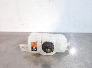 Coolant Expansion Tank NISSAN QASHQAI II SUV (J11, J11_)