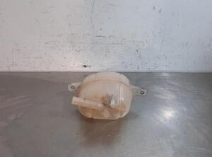 Coolant Expansion Tank FIAT FIORINO Box Body/MPV (225_), FIAT QUBO (225_), FIAT FIORINO MPV (225_)