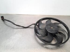 Radiator Electric Fan  Motor VW POLO (AW1, BZ1)