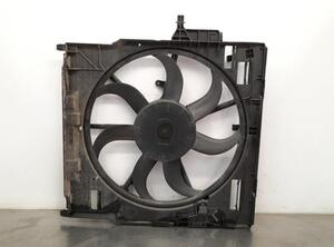 Radiator Electric Fan  Motor BMW X5 (E70), BMW X6 (E71, E72)