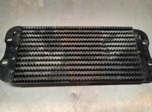 Fuel Radiator RENAULT MASTER III Van (FV)