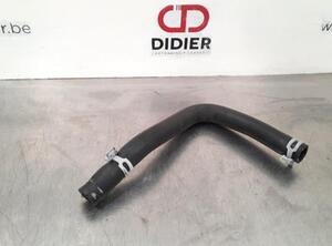 Radiator Hose RENAULT CLIO V (B7_)