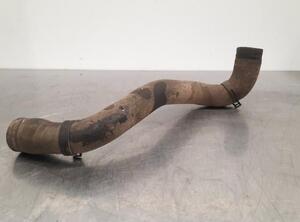 Radiator Hose VW AMAROK (2HA, 2HB, S1B, S6B, S7A, S7B), VW AMAROK Platform/Chassis (S1B, S6B, S7B)