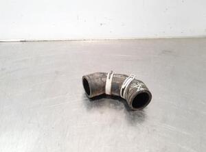 Radiator Hose VW GOLF VII (5G1, BQ1, BE1, BE2)