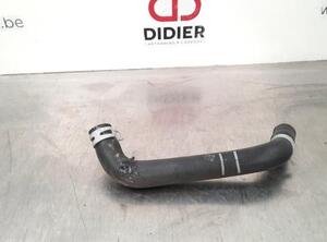 Radiator Hose RENAULT CLIO V (B7_)