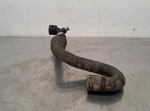 Radiator Hose AUDI Q7 (4LB), AUDI Q7 Van (4LB)