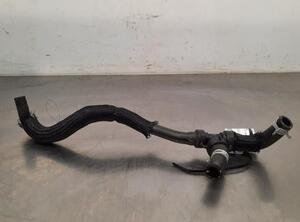 Radiator Hose RENAULT CLIO V (B7_)