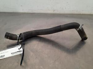 Radiator Hose RENAULT CLIO V (B7_)