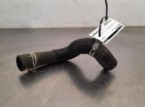 Radiator Hose RENAULT CLIO V (B7_)