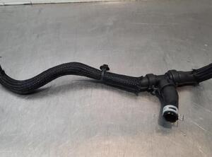 Radiator Hose RENAULT CLIO V (B7_)