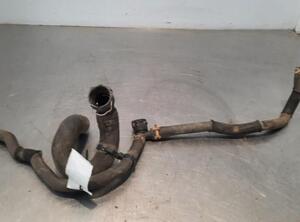 Radiator Hose TOYOTA VERSO (_R2_)