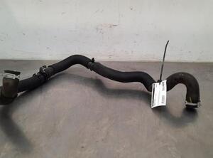 Radiator Hose DACIA DOKKER Express Box Body/MPV