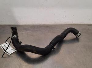 Radiator Hose RENAULT MEGANE IV Grandtour (K9A/M/N_)