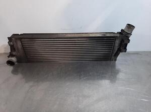 Intercooler RENAULT MEGANE II (BM0/1_, CM0/1_)