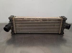 Intercooler FORD TRANSIT V363 Bus (FAD, FBD)