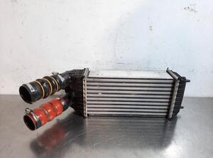 Intercooler CITROËN C3 II (SC_)