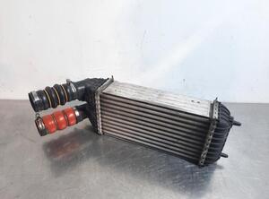 Intercooler CITROËN C3 PICASSO (SH_)