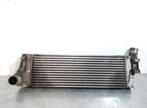 Intercooler RENAULT MEGANE II Saloon (LM0/1_), RENAULT MEGANE II (BM0/1_, CM0/1_)