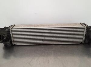 Intercooler BMW X1 (F48), BMW 2 Gran Tourer (F46), BMW X2 (F39), BMW 1 (F40)