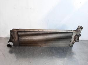 Intercooler RENAULT SCÉNIC II (JM0/1_)