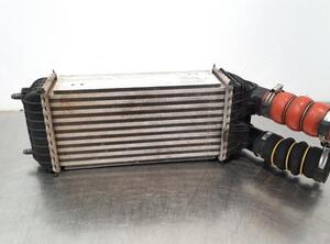 Intercooler CITROËN C3 II (SC_)