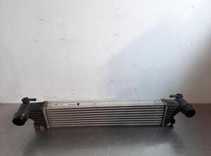 Intercooler FIAT TIPO Estate (356_), FIAT TIPO Hatchback (356_)