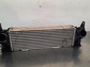 Intercooler BMW X4 (G02, F98)