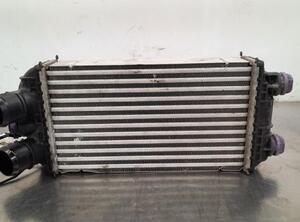 Intercooler CITROËN C4 III (BA_, BB_, BC_)