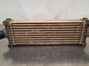 Intercooler FORD TRANSIT V363 Bus (FAD, FBD), FORD TRANSIT V363 Van (FCD, FDD)