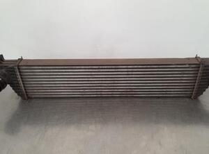 Intercooler OPEL MOVANO B Bus (X62), OPEL MOVANO B Van (X62), OPEL MOVANO B Platform/Chassis (X62)