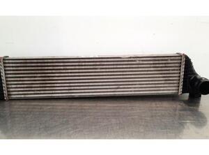 Intercooler RENAULT MASTER III Van (FV)