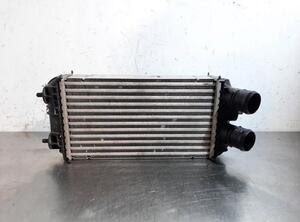 Intercooler PEUGEOT 2008 II (UD_, US_, UY_, UK_)