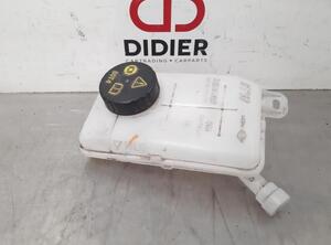 Power Steering Expansion Tank OPEL VIVARO B Van (X82)