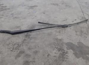 Wiper Arm VW TIGUAN (5N_), VW TIGUAN VAN (5N_), VW TIGUAN (AD1, AX1)